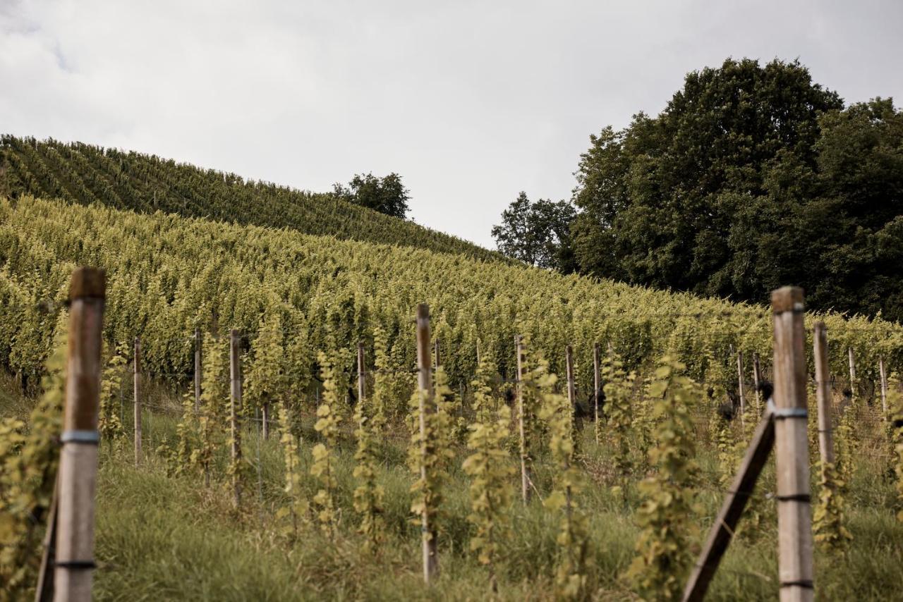 Bio Weingut Matthias Schnabl Hotel Gamlitz Buitenkant foto
